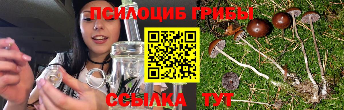 Псилоцибиновые грибы MAGIC MUSHROOMS  Вход с VPN  Реутов 