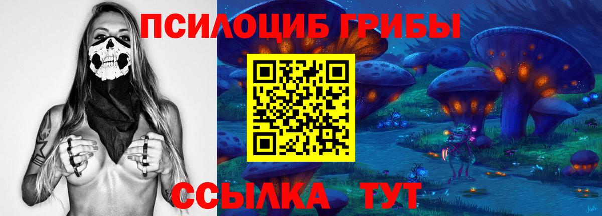 Галлюциногенные грибы Psilocybe Реутов